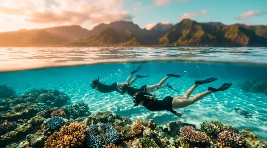 Snorkeleurs observant les coraux dans les eaux cristallines du lagon de l'Ermitage à La Réunion