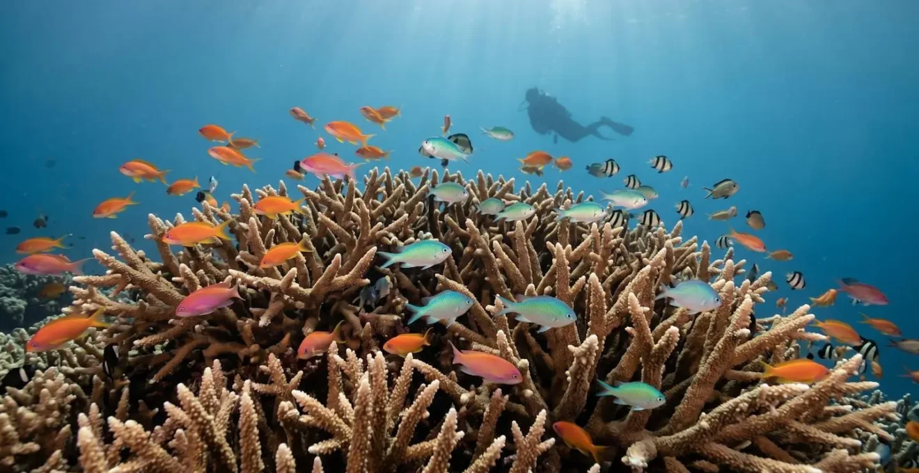 Corail branchu Acropora abritant une multitude de petits poissons tropicaux colorés