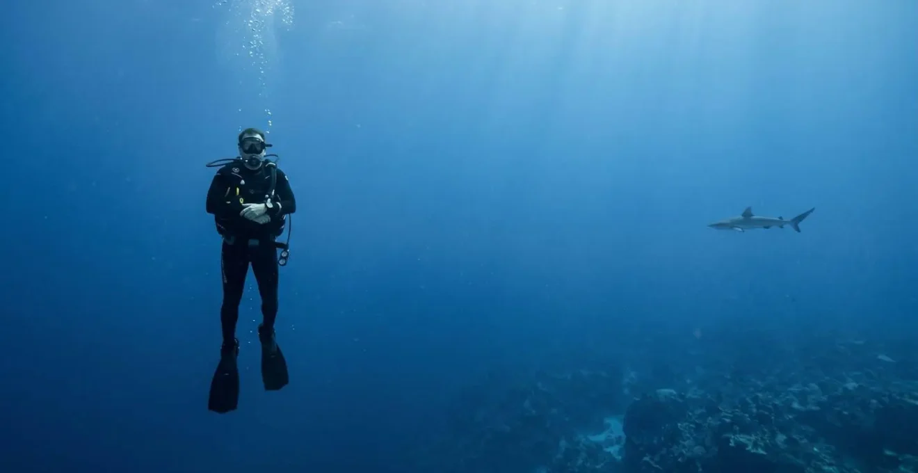 Moniteur de plongée observant sereinement un requin au large dans l'océan Indien